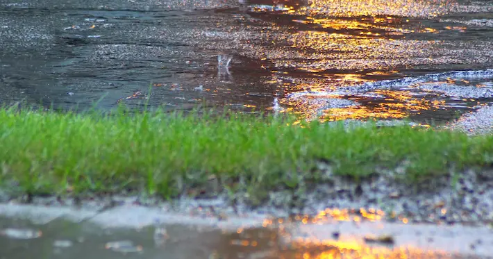 雨の道